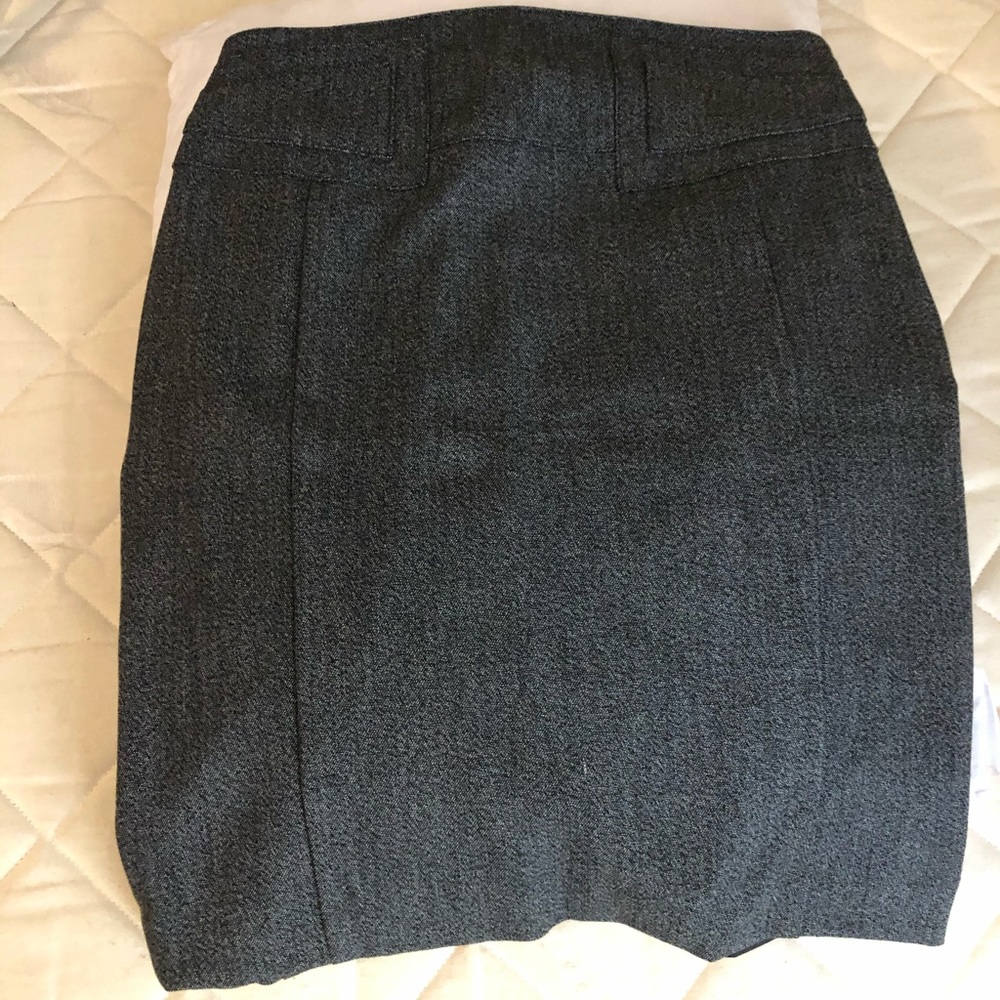 Express Skirt